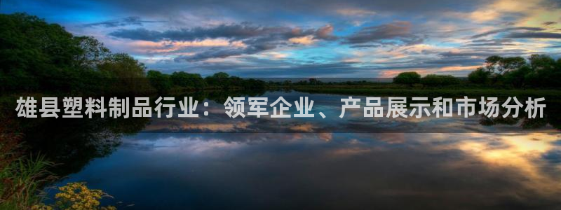太阳商城贵宾会：雄县塑料制品行业：领军企业、产品展示和市场分