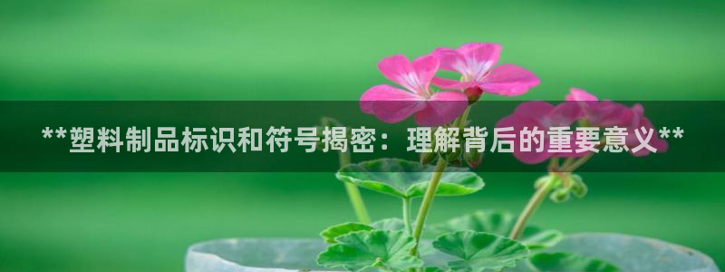 太阳诚集团网站：**塑料制品标识和符号揭密：理解背后的重要意