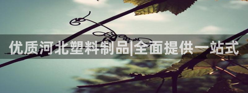 太阳成集团洗米华：优质河北塑料制品|全面提供一站式