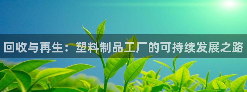 太阳商城贵宾会：回收与再生：塑料制品工厂的可持续发展之路