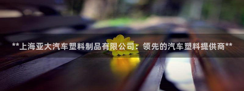 太阳集团城网2018：**上海亚大汽车塑料制品有限公司：领先