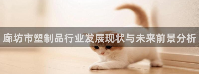 太阳集团股份有限公司是国企吗：廊坊市塑制品行业发展现状与未来