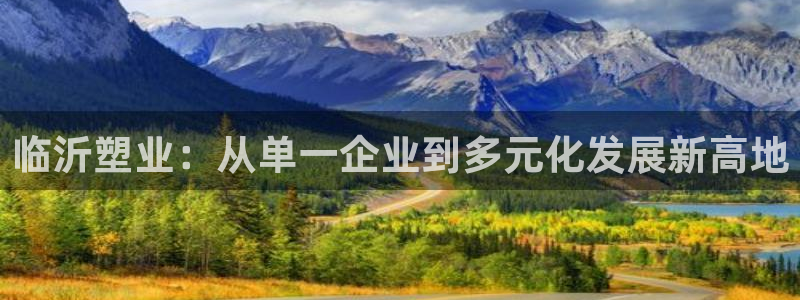 suncitygroup太阳集团--官方网站：临沂塑业：从单