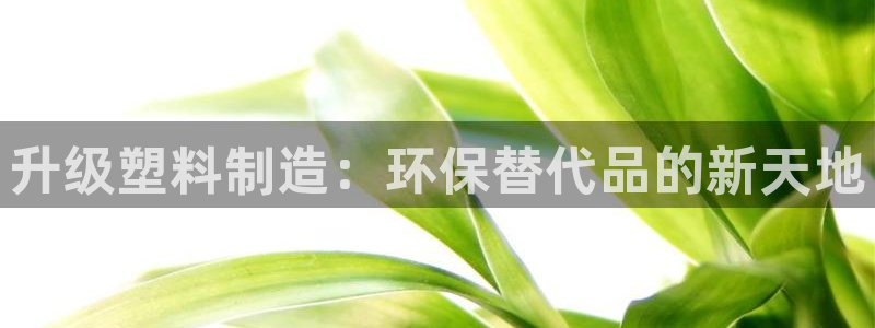 太阳成集团网站5：升级塑料制造：环保替代品的新天地