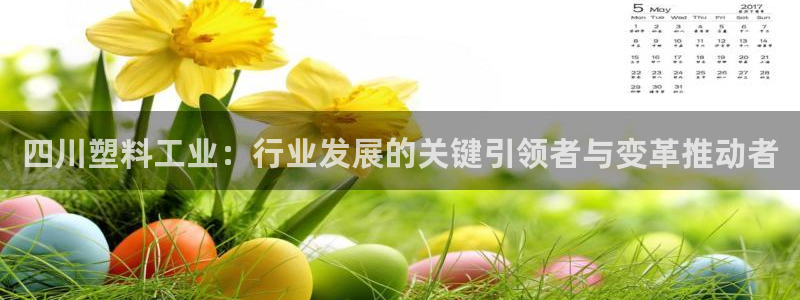 太阳集团网站5017：四川塑料工业：行业发展的关键引领者与变