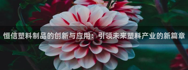 太阳成集团电子游戏：恒信塑料制品的创新与应用：引领未来塑料产