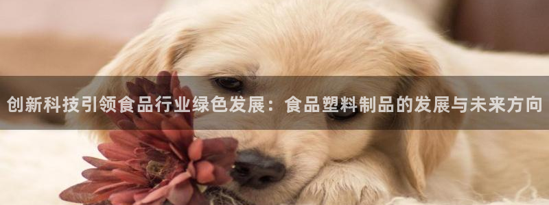 太阳集团影视：创新科技引领食品行业绿色发展：食品塑料制品的发