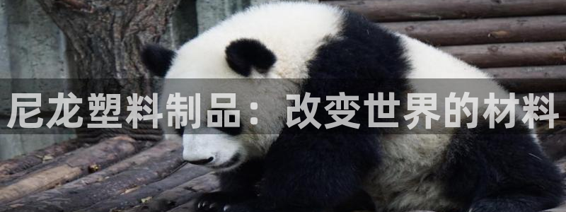 太阳诚集团有限公司是国企吗还是央企：尼龙塑料制品：改变世界的