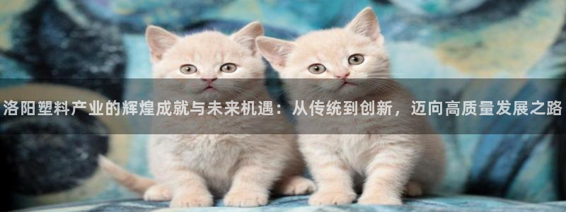 太阳成集团com：洛阳塑料产业的辉煌成就与未来机遇：从传统到