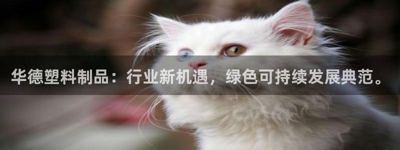 太阳集团app十佳平台有哪些：华德塑料制品：行业新机遇，绿色