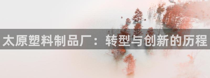 太阳集团游戏App：太原塑料制品厂：转型与创新的历程