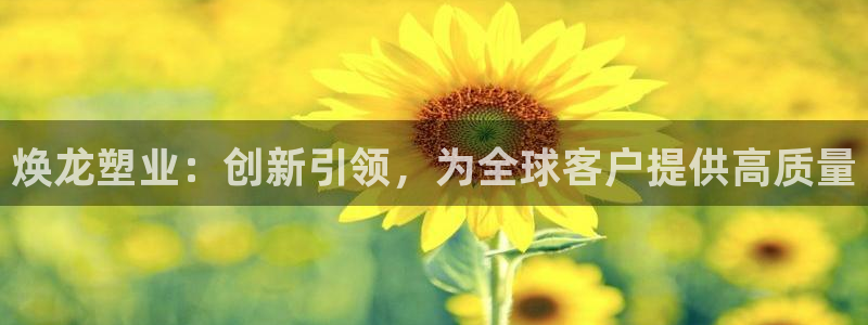 太阳集团app十佳平台：焕龙塑业：创新引领，为全球客户提供高