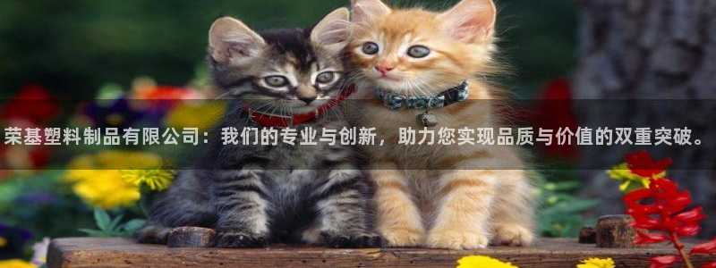 太阳成集团古天乐：荣基塑料制品有限公司：我们的专业与创新，助