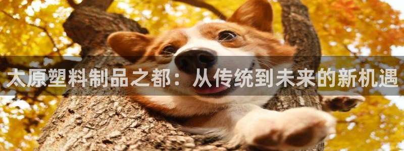 太阳集团手机app：太原塑料制品之都：从传统到未来的新机遇