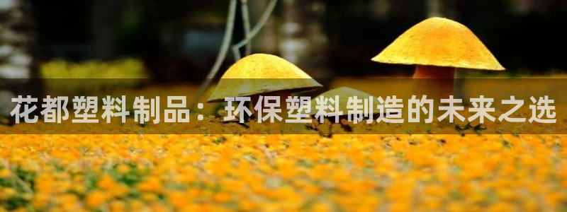 太阳集团是怎样一个公司：花都塑料制品：环保塑料制造的未来之选