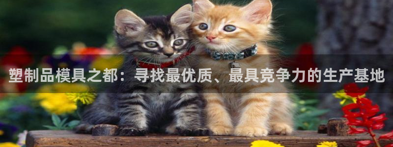 太阳集团电视剧：塑制品模具之都：寻找最优质、最具竞争力的生产