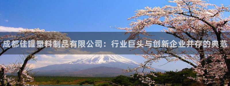 太阳1城集团网址：成都佳罐塑料制品有限公司：行业巨头与创新企
