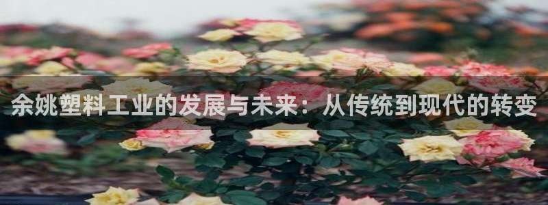 太阳诚集团APP在线观看：余姚塑料工业的发展与未来：从传统到