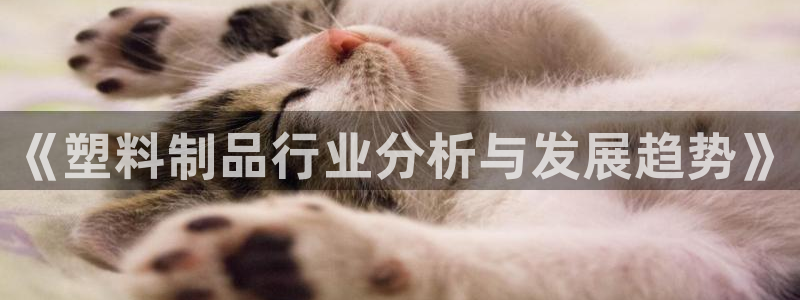 063801太阳集团备用网址：《塑料制品行业分析与发展趋势》