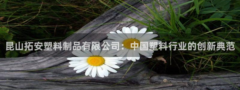 太阳gg打不开了吗：昆山拓安塑料制品有限公司：中国塑料行业的