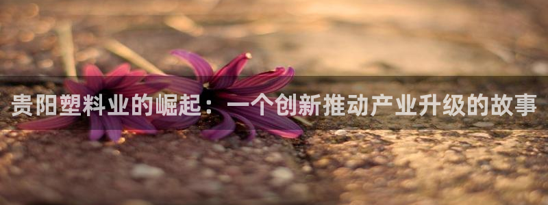 太阳集团网站入口官网网址：贵阳塑料业的崛起：一个创新推动产业