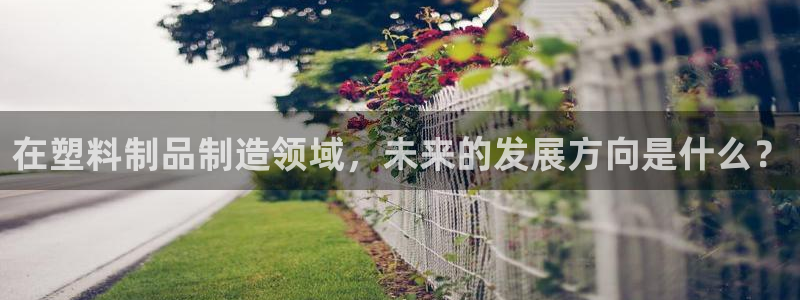 太阳集团是什么：在塑料制品制造领域，未来的发展方向是什么？
