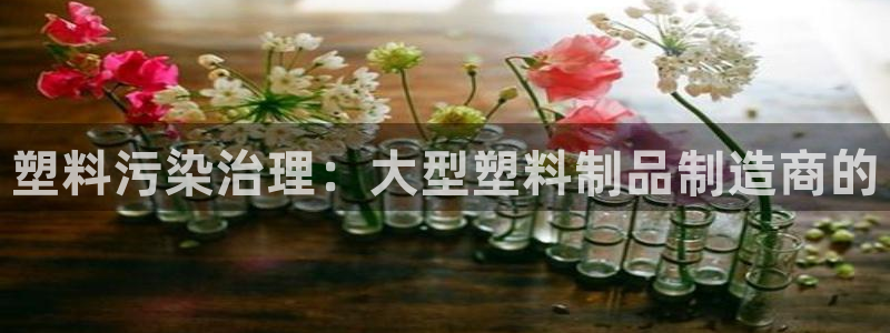 太阳集团城网址娱网 - 太阳集团电子游戏：塑料污染治理：大型