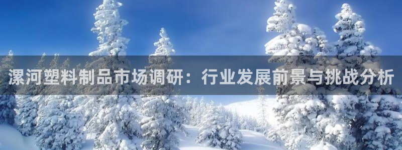 太阳集团app：漯河塑料制品市场调研：行业发展前景与挑战分析
