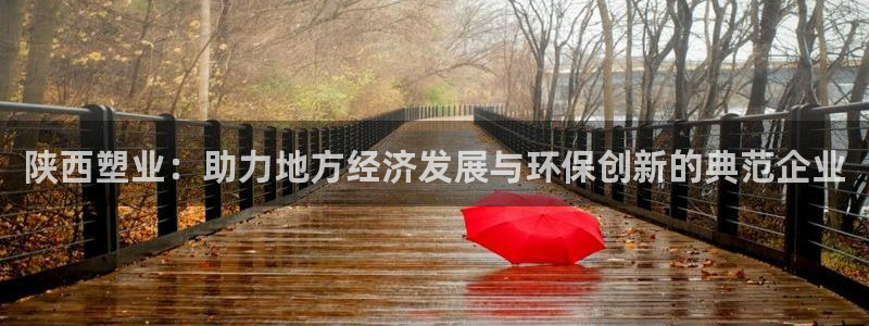 高淳红太阳集团：陕西塑业：助力地方经济发展与环保创新的典范企