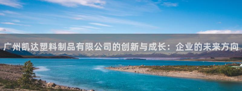 太阳成集团是干嘛的：广州凯达塑料制品有限公司的创新与成长：企