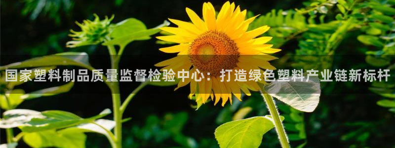 1593太阳集团城所有网址：国家塑料制品质量监督检验中心：打