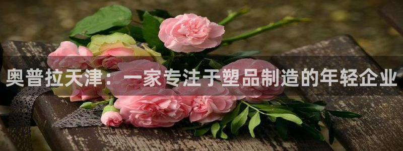 太阳商城贵宾会：奥普拉天津：一家专注于塑品制造的年轻企业