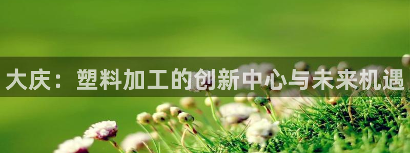 太阳集团2018登录网址是多少：大庆：塑料加工的创新中心与未