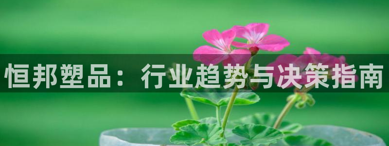 太阳诚集团有限公司怎么样：恒邦塑品：行业趋势与决策指南