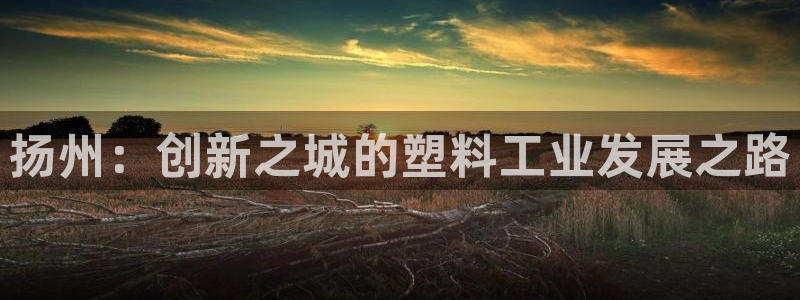 太阳集团在国内三个分公司：扬州：创新之城的塑料工业发展之路