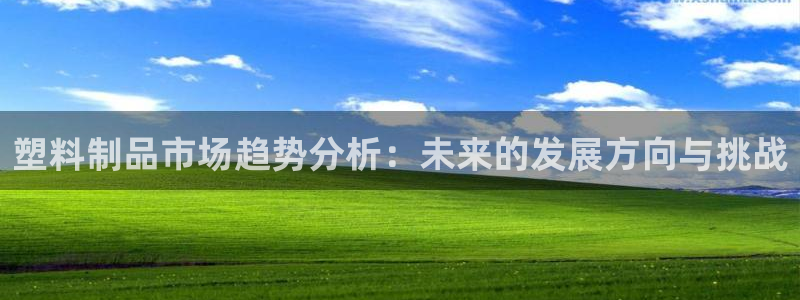 太阳gg打不开了吗：塑料制品市场趋势分析：未来的发展方向与挑