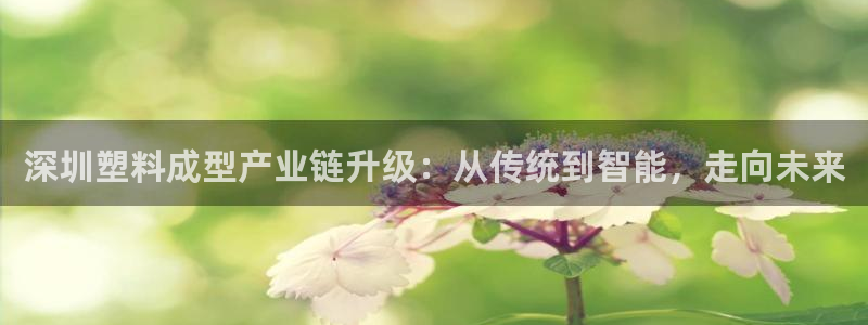 太阳诚集团有限公司：深圳塑料成型产业链升级：从传统到智能，走