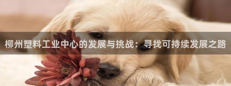 太阳国际娱乐古天乐：柳州塑料工业中心的发展与挑战：寻找可持续