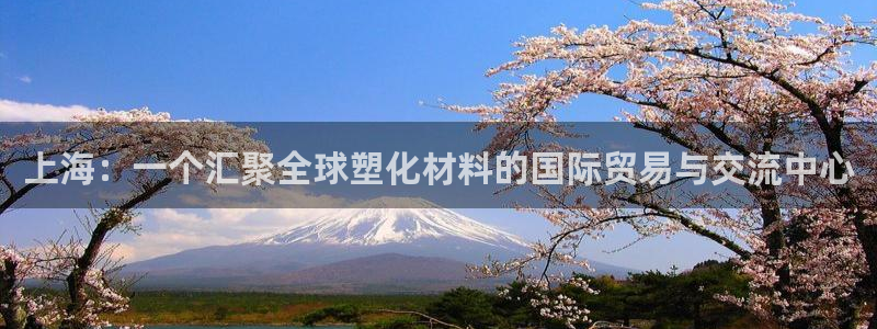 太阳集团官网：上海：一个汇聚全球塑化材料的国际贸易与交流中心