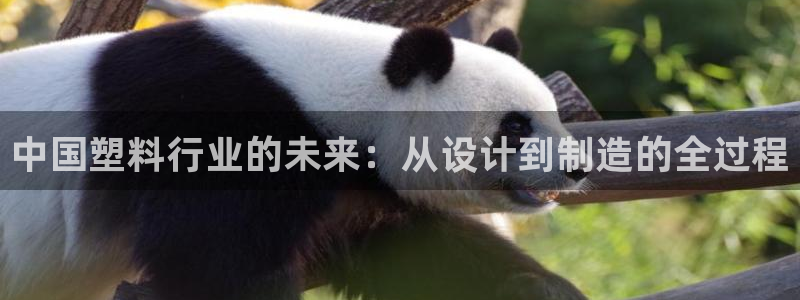 太阳集团是什么集团：中国塑料行业的未来：从设计到制造的全过程