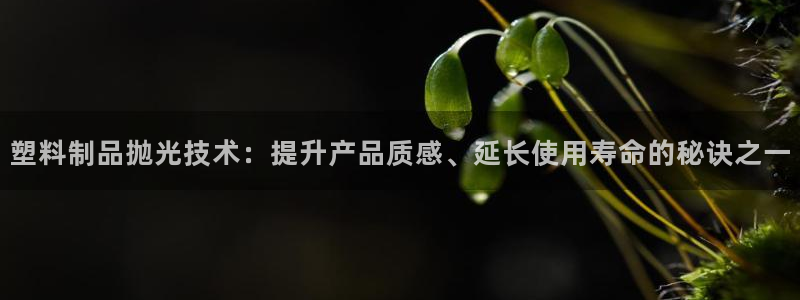 古天乐和太阳集团什么关系：塑料制品抛光技术：提升产品质感、延