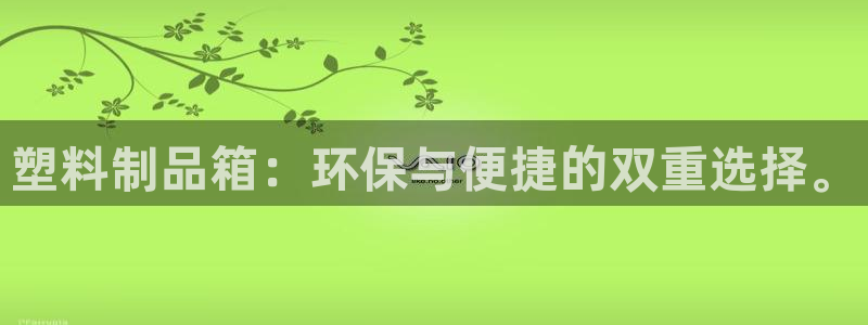 太阳集团网址8722：塑料制品箱：环保与便捷的双重选择。