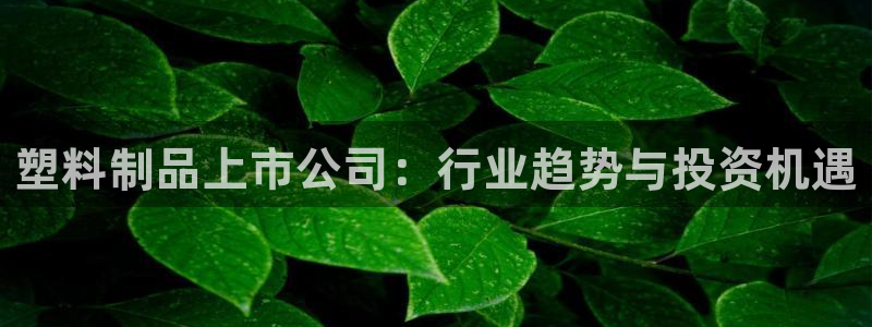 太阳成集团com：塑料制品上市公司：行业趋势与投资机遇