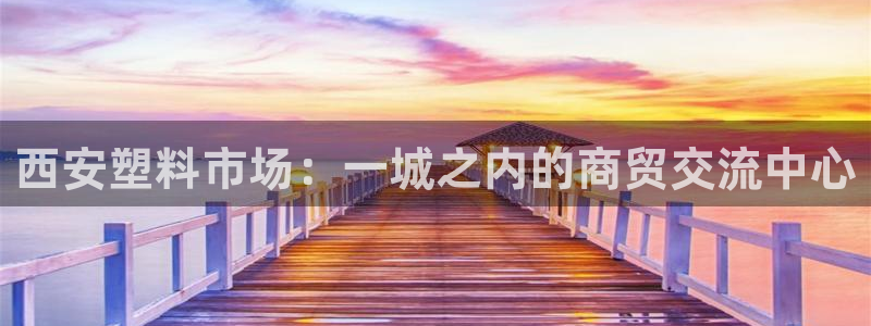 太阳集团是怎样一个公司：西安塑料市场：一城之内的商贸交流中心